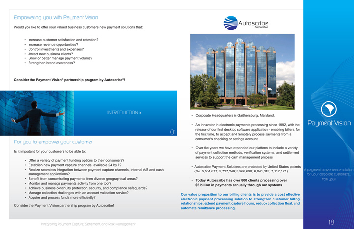Printshot 2 of the Payment Vision Brochure Project