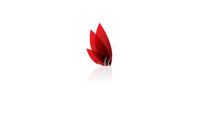 Screenshot 1 of the Munaluchi Branding Project