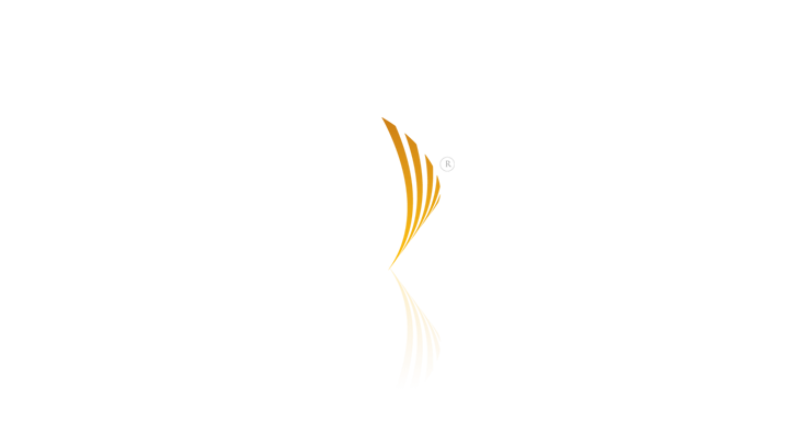Screenshot 3 of the MusicianShip Branding Project