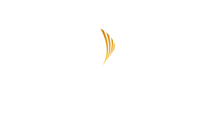 Screenshot 4 of the MusicianShip Branding Project