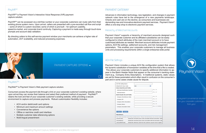 Printshot 3 of the Payment Vision Brochure Project
