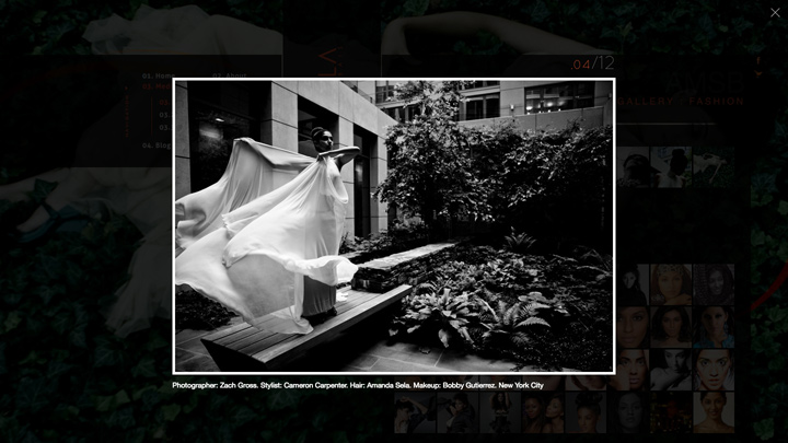 Screenshot 6 of the Anjhula Project