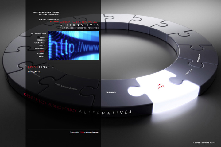 Screenshot 3 of the Center for Public Policy Alternatives Project
