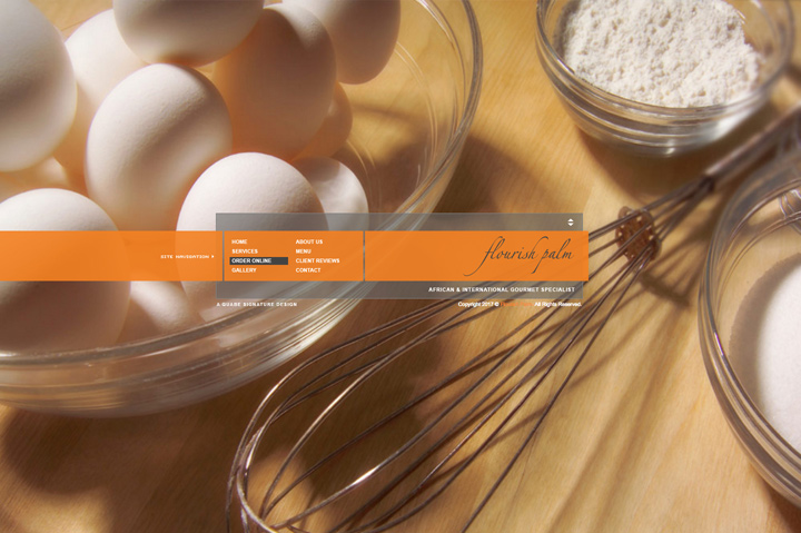 Screenshot 4 of the Flourish Palm Project